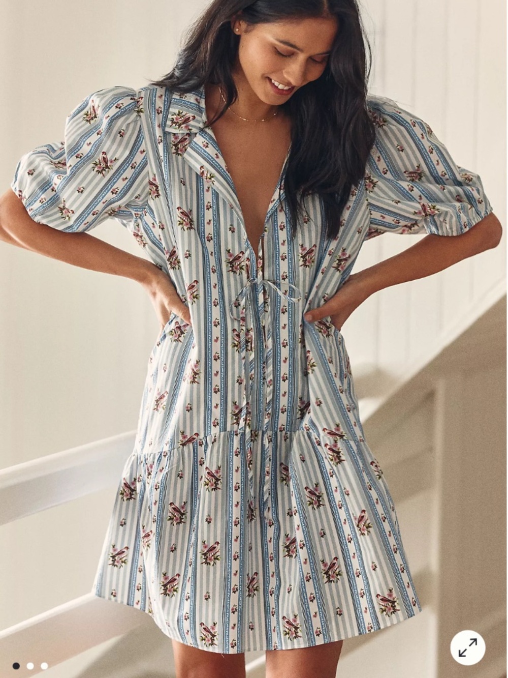 LyreBird Puff Sleeve Mini Dress